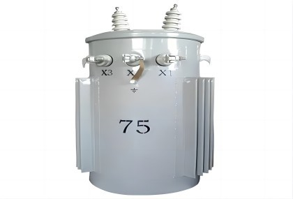 Single Phase Pole Mounted Transformer