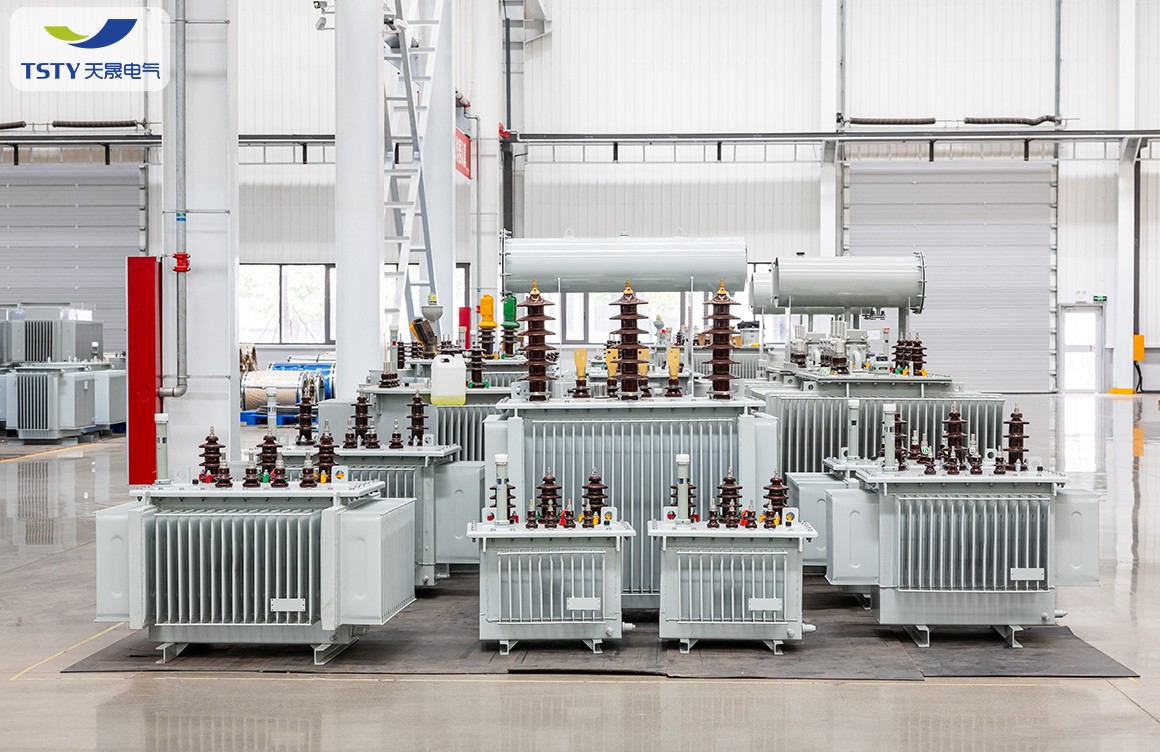 6KV-22KV Electric Oil Immersed Power Transformer/Distribution Transformer