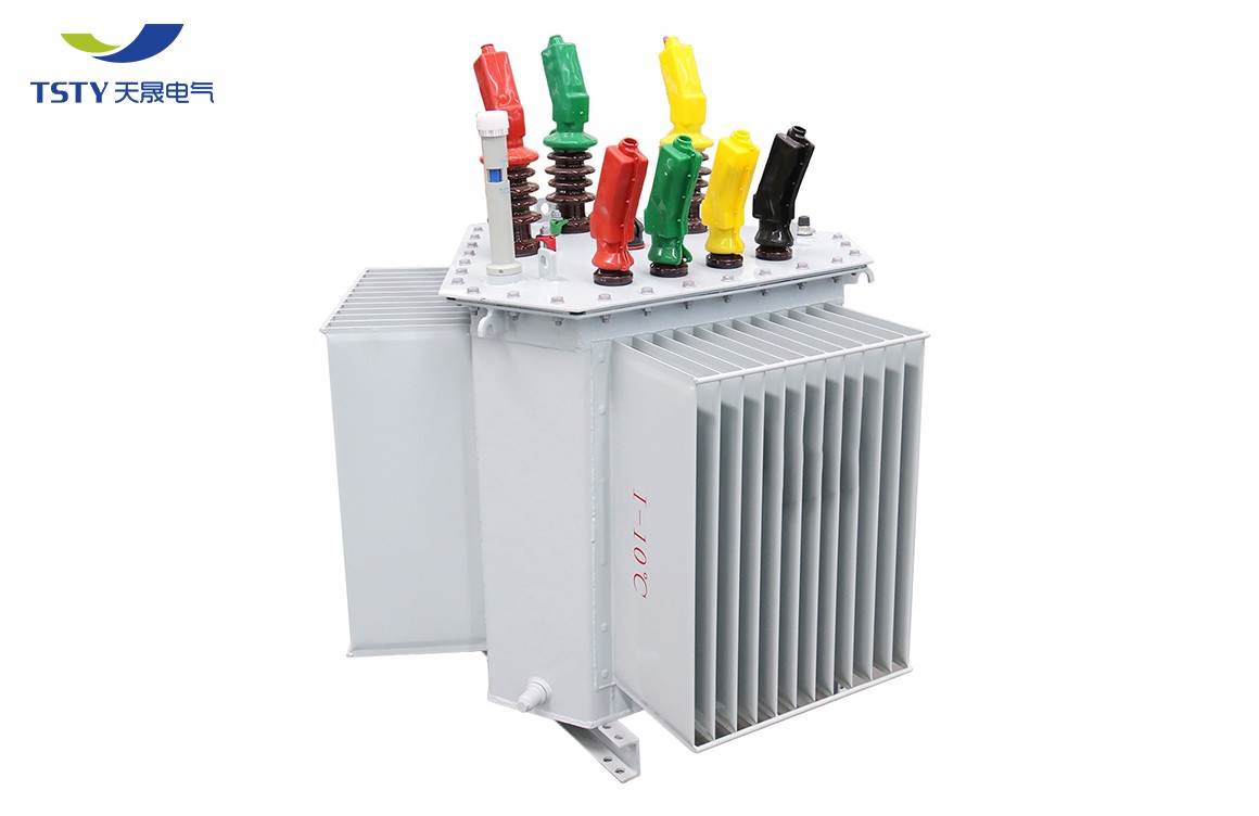 6KV-22KV Electric Oil Immersed Power Transformer/Distribution Transformer