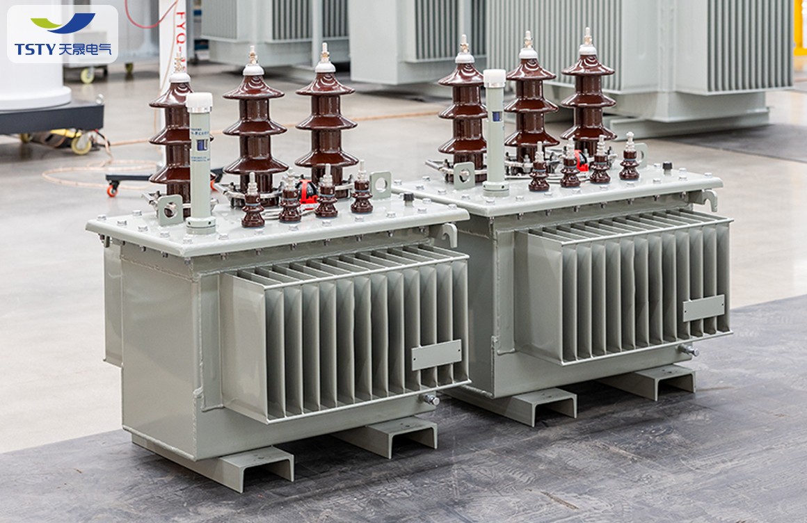 6KV-22KV Electric Oil Immersed Power Transformer/Distribution Transformer