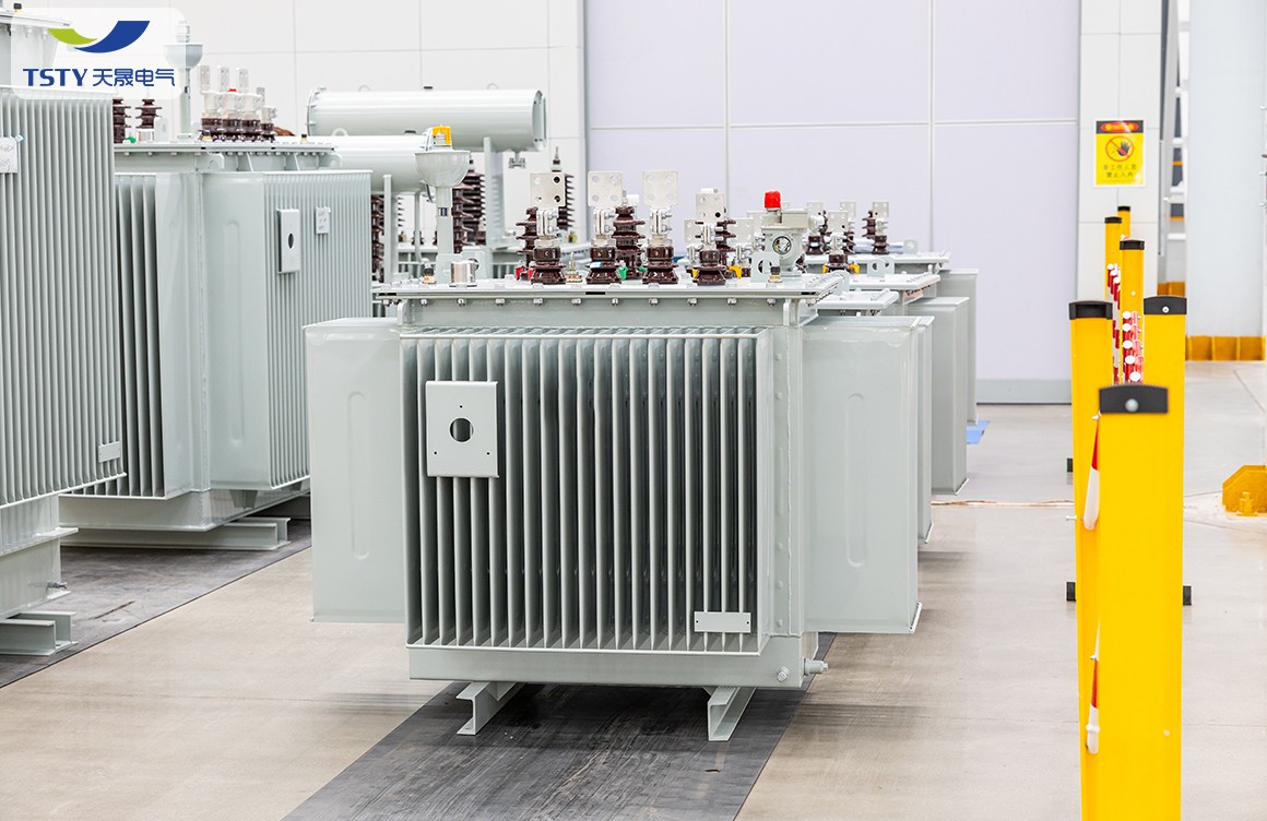 6KV-22KV Electric Oil Immersed Power Transformer/Distribution Transformer