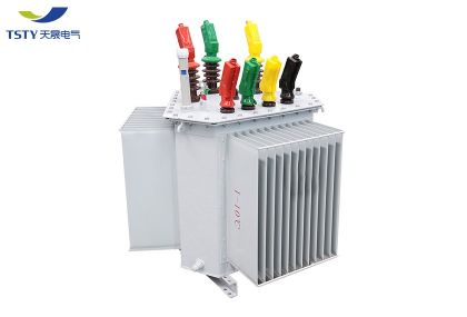 6KV-22KV Electric Oil Immersed Power Transformer/Distribution Transformer