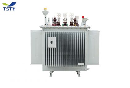 6KV-22KV Electric Oil Immersed Power Transformer/Distribution Transformer