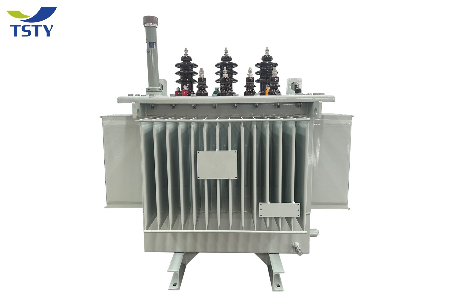 6KV-22KV Electric Oil Immersed Power Transformer/Distribution Transformer