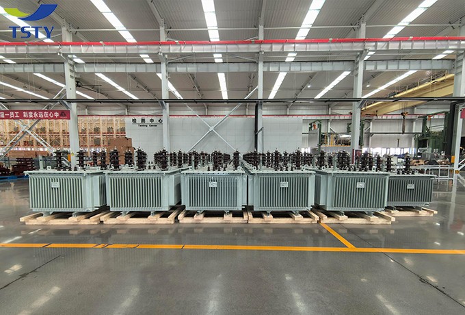 6KV-22KV Electric Oil Immersed Power Transformer/Distribution Transformer