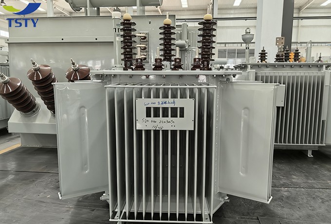 6KV-22KV Electric Oil Immersed Power Transformer/Distribution Transformer