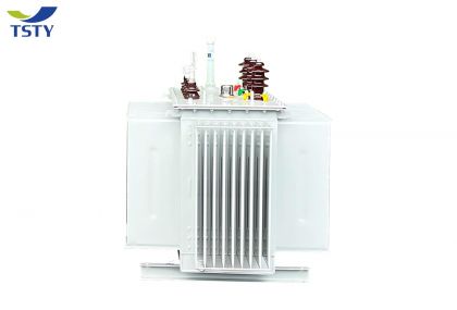 10KV Oil Immersed Distribution Transformer