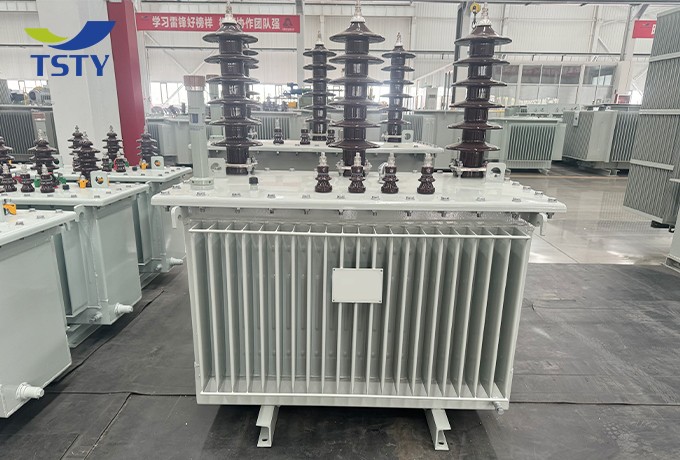 10KV Oil Immersed Distribution Transformer