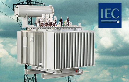 Why are IEC standards so important to the power industry?