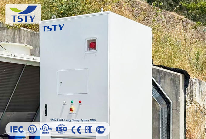EPS Cabinet 225A