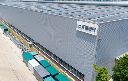 Why Global Buyers Choose TSTY Electric Equipment?